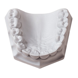 Mounting Plaster (Whipmix)