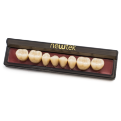 MDC New Tek Teeth (1x6) (1) ea Upper & Lower Anterior Pedo/Adult (Shade 59)