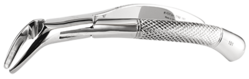Extracting forceps Adult (PDT)
