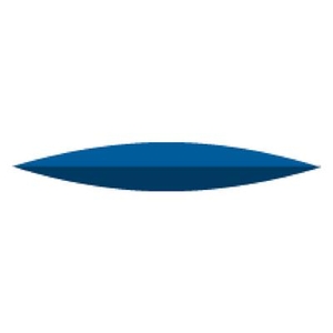 NTI Blue Silicone Polishers Unmounted, 10/Pkg (Kerr Rotary)