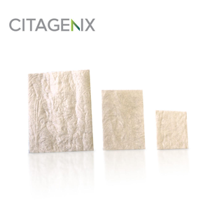 Neomem Barrier Membrane Xenograft Resorbable (Citagenix)