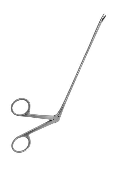 Alligator Forceps 6.5 Alligator Forceps 6.5