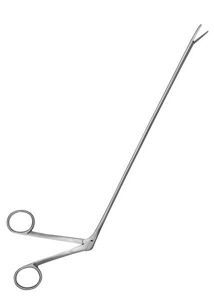 Alligator Forceps 10 Alligator Forceps 10