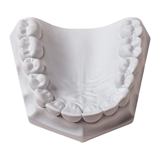 Orthodontic Plaster 33Lbs (Whipmix) Orthodontic Plaster 33Lbs (Whipmix)